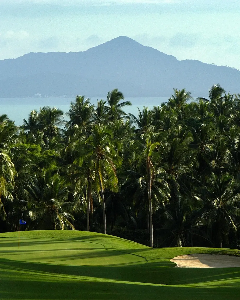 ГОЛЬФ ЗА НАШ СЧЕТ
