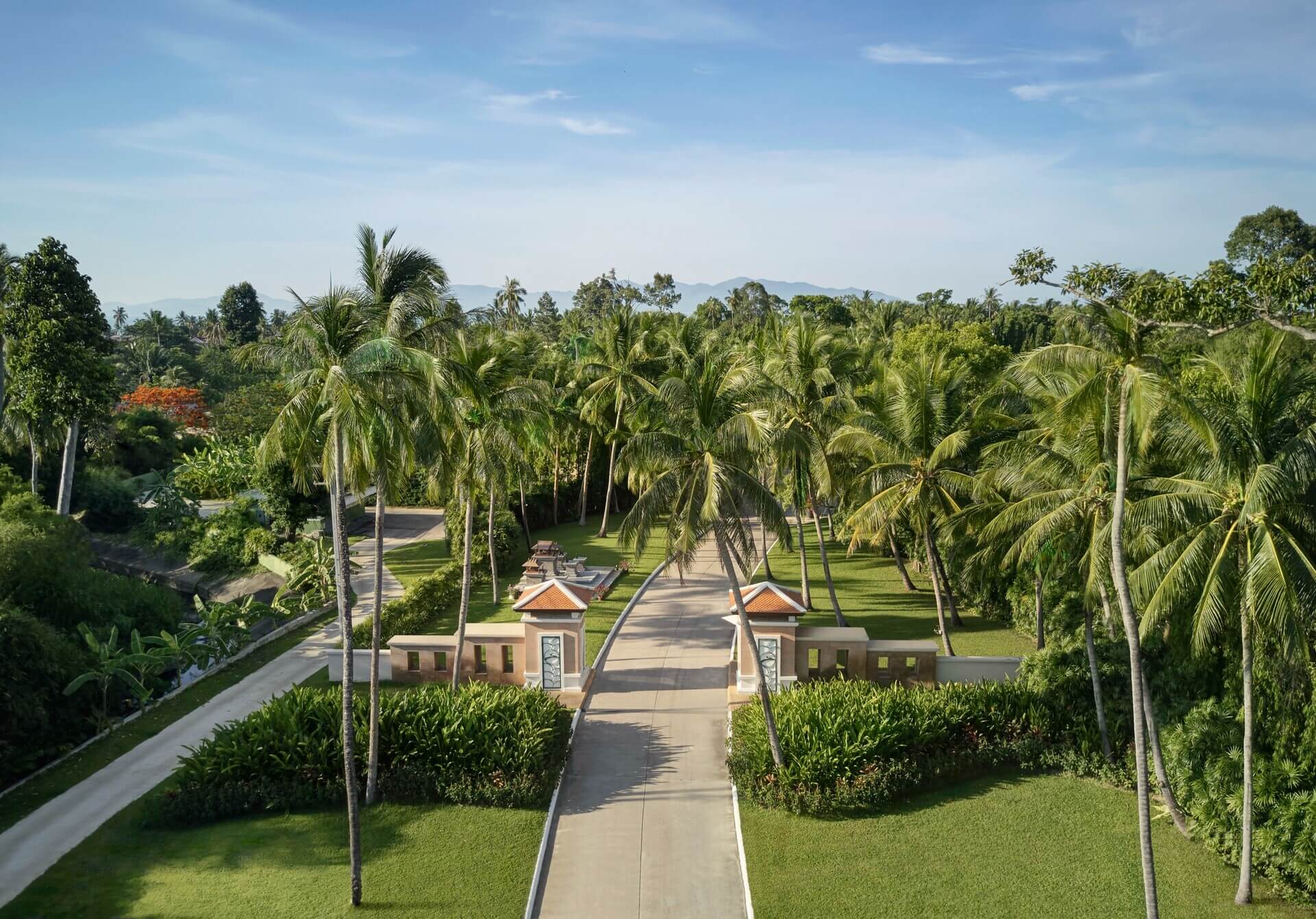 Coconut Journey