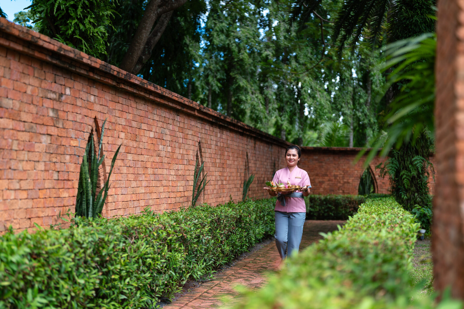 Immerse In Thai Wellness With Our Expert Local Practitioners