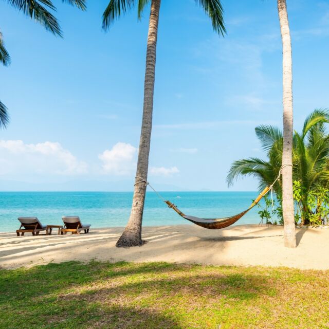 Bask in the warm embrace of our beachfront, where the soft sands meet the soothing sea. It's the perfect spot to soak up the sun and enjoy the natural beauty of Koh Samui.⁠
⁠
#SantiburiKohSamui #สันติบุรีเกาะสมุย