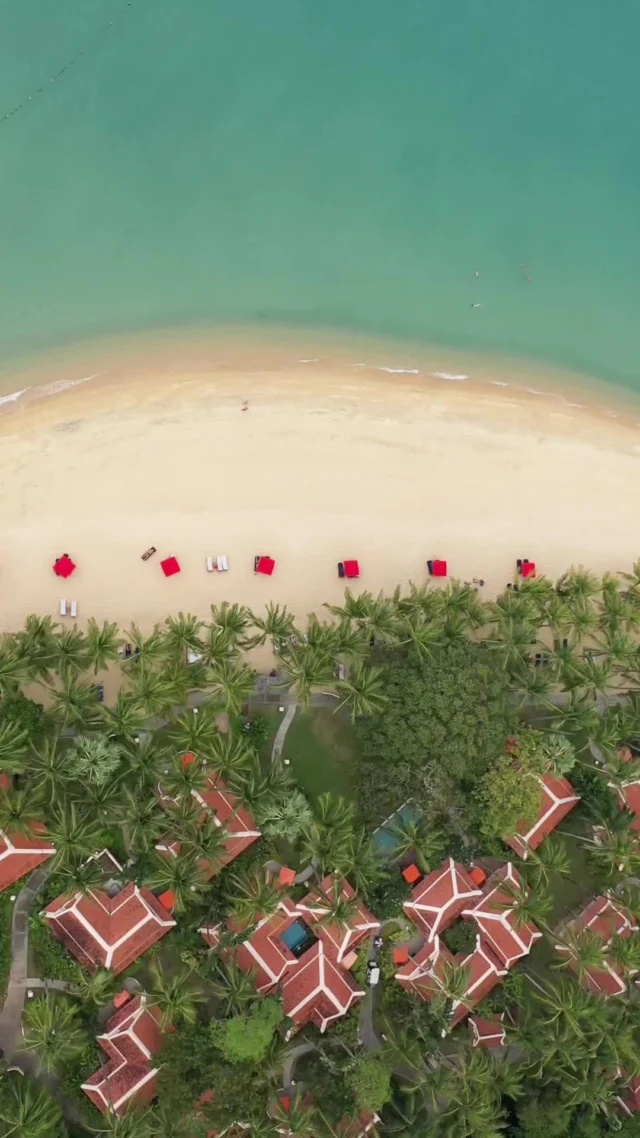 Our paradise is a haven for all, including the native Thai plants and wildlife. This Sustainability Day, We invite you to help us protect and preserve the natural beauty that surrounds us. Together, we can make a lasting impact.⁠
⁠
Happy Sustainability Day.⁠
⁠
#SantiburiSamui #ทราย #Sustainability #EcoFriendly #GreenLiving #ClimateAction #Recycle #ZeroWaste #EcoTourism #GreenEnergy #NatureLovers #SustainableLiving #carbonneutralby2030