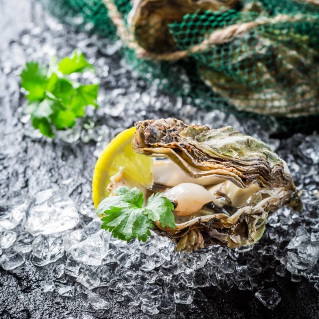 Savour the distinct textures and flavours of fine imported oysters, freshly shucked for your enjoyment by the experts of Oyster Bar x Samui.⁠
⁠
Located right on the pristine shores of our tropical haven, it’s the perfect setting for an exceptional beachside treat.⁠
⁠
Special deals await – Don’t miss out!⁠
🦪 2, 16 & 30 November | 7 & 12 Dec ⁠
🕐 1:00 pm – 8:00 pm ⁠
📍 The Beach House⁠
⁠
#SantiburiKohSamui #สันติบุรีเกาะสมุย