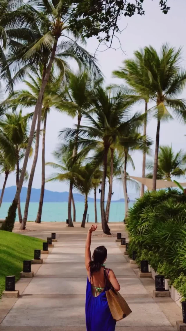 Stroll down our palm-lined pathway to the beach, where gentle breezes and soft sands await.⁠
⁠
Video courtesy by Lianying⁠
⁠
#SantiburiKohSamui #สันติบุรีเกาะสมุย