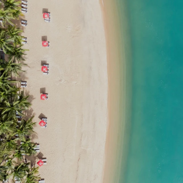 Our beach cleaning initiatives are a key part of our commitment to sustainability. By regularly maintaining the pristine condition of our shores, we ensure our environment remains beautiful and vibrant for everyone to enjoy. ⁠
⁠
#SantiburiSamui #Sustainability #EcoFriendly #GreenLiving #ClimateAction #Recycle #ZeroWaste #EcoTourism #GreenEnergy #NatureLovers #SustainableLiving #carbonneutralby2030