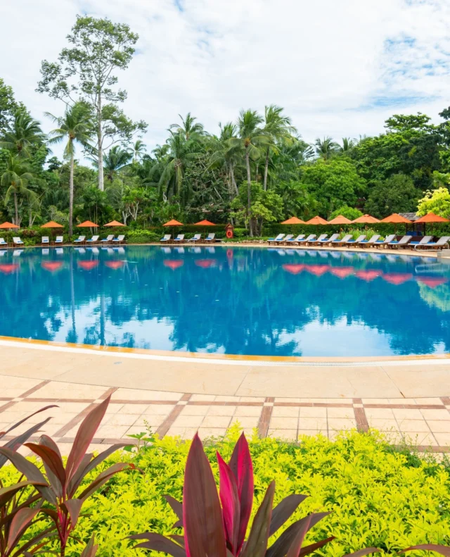 A poolside retreat surrounded by lush greenery. Sink into serenity, soak up the island breeze, and let the day unfold at your own pace.⁠
⁠
#SantiburiKohSamui #สันติบุรีเกาะสมุย