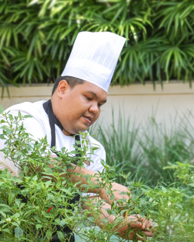 ⁠
Every flavour tells a local story. From wild-caught seafood to hand-picked produce grown within 100 miles, each dish celebrates Samui’s natural abundance. 🌾⁠
⁠
Book your table for this unique culinary experience at the link in our bio.⁠
⁠
#SantiburiKohSamui #สันติบุรีเกาะสมุย #SAiiDISCOVERY