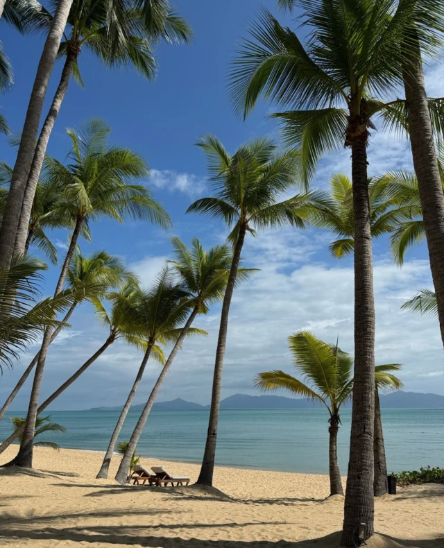 Step into island life, where mornings feel slower and every breeze carries calm. ⁠
Your December escape to Koh Samui begins here.⁠
⁠
Book your stay via the link in our bio.⁠
⁠
#SantiburiKohSamui #สันติบุรีเกาะสมุย #SAiiDISCOVERY