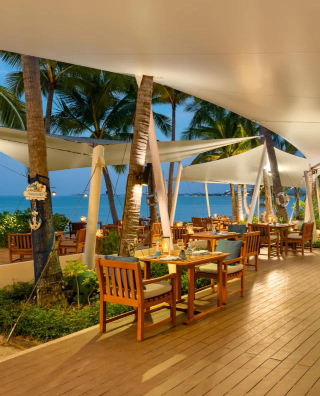As the day drifts into golden hour, @thebeachhouseatsantiburi comes alive with coastal flavours and a soft sea breeze.⁠
⁠
Settle in, sip slow, and enjoy the evening 🌴⁠
⁠
#SantiburiKohSamui #สันติบุรีเกาะสมุย #SAiiDISCOVERY