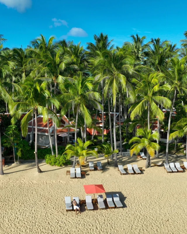 Some places you visit.⁠
Others feel like coming home.⁠
⁠
Here, life slows down just enough for you to remember what peace feels like. ⁠
⁠
Take a pause by the beach, under the palms, and feel completely at ease. 🌿⁠
⁠
Photo courtesy of @paikubpong⁠
⁠
#SantiburiKohSamui #สันติบุรีเกาะสมุย #SAiiDISCOVERY