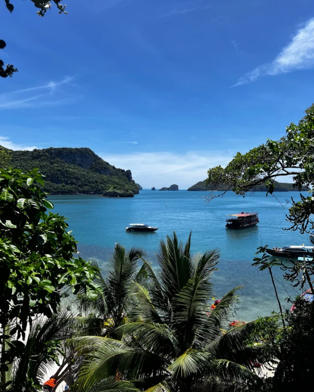 Where turquoise waters meet cinematic beauty. 🎬⁠
⁠
Ang Thong Marine Park — one of the filming locations for The White Lotus — awaits just beyond our shores.⁠
⁠
Sail away, explore the hidden lagoons, and make your own island story.⁠
⁠
Discover more about our excursions via the link in our bio.⁠
⁠
#SantiburiKohSamui #สันติบุรีเกาะสมุย #SAiiDISCOVERY