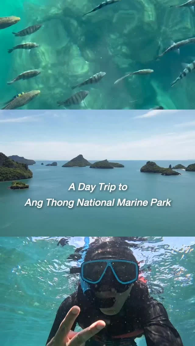 Revitalize your holiday amidst the pristine nature of Ang Thong National Marine Park. 🌿⁠
⁠
Imagine being surrounded by lush greenery and crystal-clear waters, where vibrant marine life thrives just beneath the surface. Spend your day basking in the bright sunshine and exploring the untouched beauty of the archipelago—the ultimate soul-soothing escape.⁠
⁠
Experience this hidden paradise on a luxury excursion with Oceana Samui. Reserve your journey via the link in our bio⁠
⁠
#SantiburiKohSamui #สันติบุรีเกาะสมุย#SAiiDISCOVERY