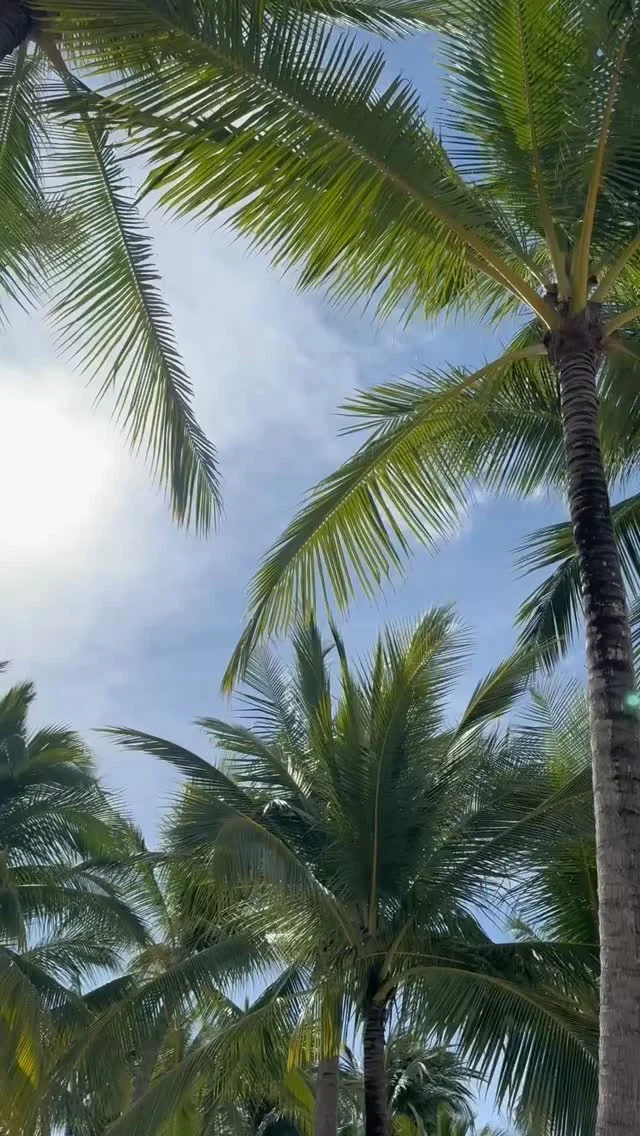 Golden sun, soft waves, and absolute stillness. ☀️⁠
⁠
The perfect moment to truly recharge in a place where time slows down and the shore is yours. This is the Santiburi way.⁠
⁠
#SantiburiKohSamui #สันติบุรีเกาะสมุย#SAiiDISCOVERY