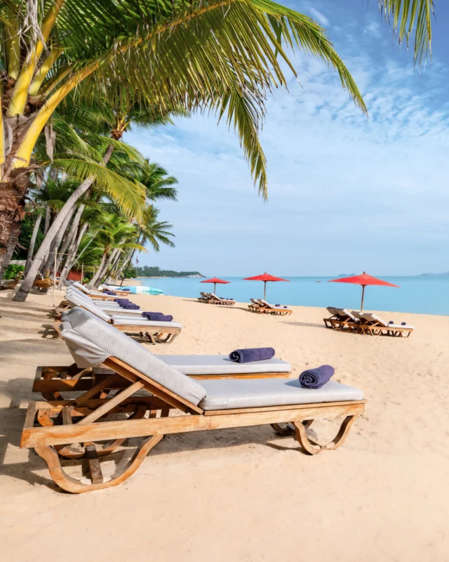 Mae Nam Beach is the perfect setting for tranquility and reflection, offering shaded palms and inviting barefoot walks.⁠
⁠
#SantiburiKohSamui #สันติบุรีเกาะสมุย #SAiiDISCOVERY