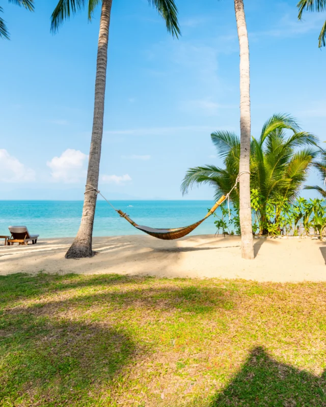 Surrounded by nature’s embrace, island life feels easy here. Lush gardens, open skies, and the gentle rhythm of Koh Samui create a sense of calm that makes settling in effortless. ⁠
⁠
Days stretch a little longer, mornings feel lighter, and shorefront strolls simply feel right.⁠
⁠
Book your stay today via the link in our bio.⁠
⁠
#SantiburiKohSamui #สันติบุรีเกาะสมุย #SAiiDISCOVERY