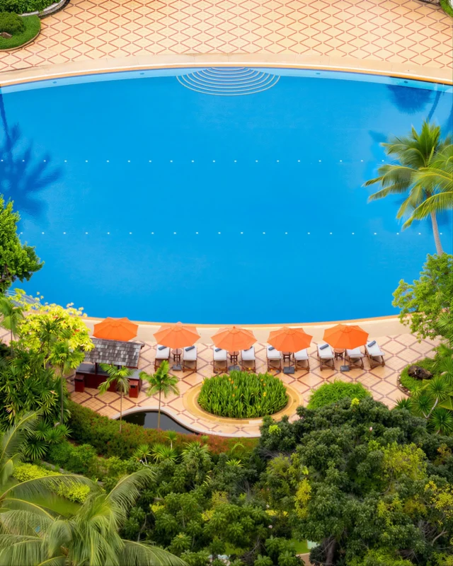 Somewhere between the palms and that stretch of blue, your spot awaits.⁠
⁠
The water just steps away, the sun shining through the trees, and nothing on the agenda but taking it slow.⁠
⁠
⁠
#SantiburiKohSamui #สันติบุรีเกาะสมุย #SAiiDISCOVERY