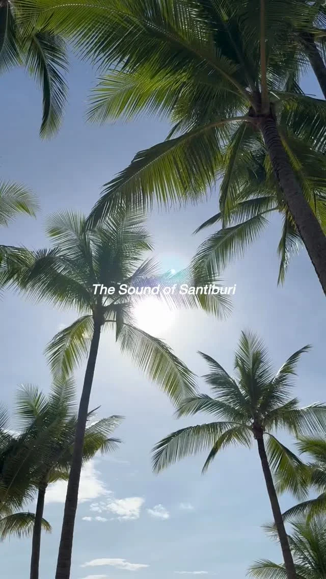 Experience infinite calm and the sound of peace. A truly luxurious escape awaits at Santiburi Koh Samui. ⁠
⁠
Book your sensory journey with us.⁠
⁠
#SantiburiKohSamui #สันติบุรีเกาะสมุย #SAiiDISCOVERY #kohsamuihotels