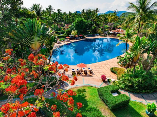 A view that never gets old. 🌴

Surrounded by tropical gardens and swaying palms, ours is one of Koh Samui’s most iconic pools.

Discover more of Santiburi Koh Samui’s treasures via the link in our bio.

#SantiburiKohSamui #สันติบุรีเกาะสมุย #SAiiDISCOVERY