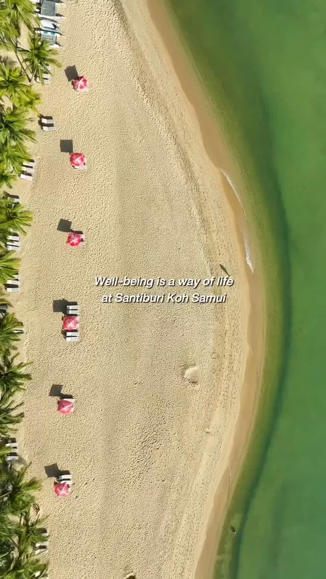 At Santiburi Koh Samui, wellness is simply part of the way we live — from restful stays and gentle movement to thoughtfully prepared meals.⁠
⁠
Where everything is thoughtfully in place for your wellbeing ⁠
⁠
⁠
#SantiburiKohSamui #สันติบุรีเกาะสมุย #SAiiDISCOVERY #kohsamuihotels ⁠