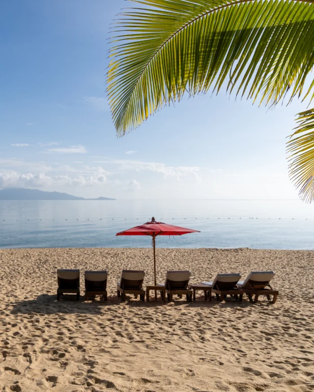 Today’s plan: claim the best seat by the sea and let the view do the rest.⁠
⁠
With soft sands, calm waters, and a little shade under the palms, Santiburi makes beach days feel beautifully easy.⁠
⁠
Photo courtesy of @paikubpong⁠
⁠
#SantiburiKohSamui #สันติบุรีเกาะสมุย #SAiiDISCOVERY ⁠
