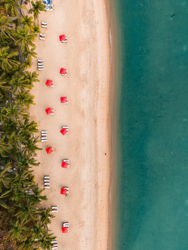 Pick your corner beneath the palms and let the beach set the mood.⁠
⁠
A stretch of soft sand, calm sea views, and all the space you need for an easy Koh Samui day.⁠
⁠
#SantiburiKohSamui #สันติบุรีเกาะสมุย #SAiiDISCOVERY ⁠