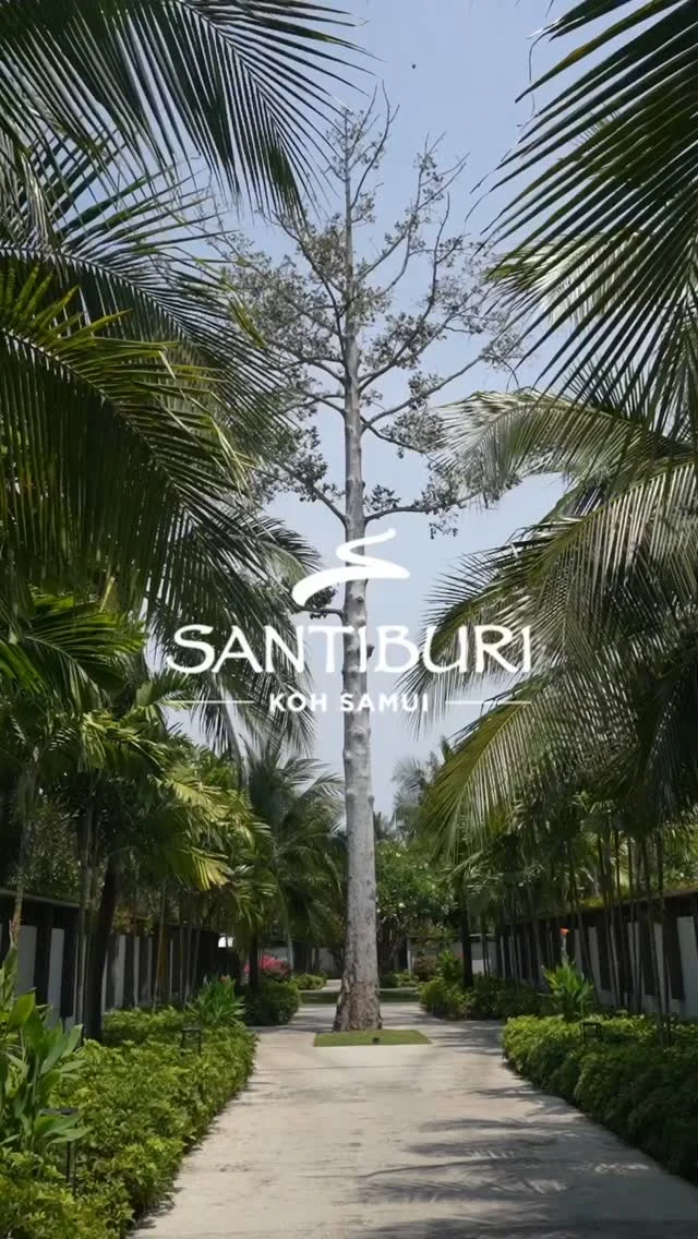 Start the day with something fresh.⁠
⁠
A floating breakfast of tropical fruits, morning favourites, and little delicacies, served straight to your private pool.⁠
⁠
Video courtesy of @khalifavirginie⁠
⁠
#SantiburiKohSamui #สันติบุรีเกาะสมุย #SAiiDISCOVERY ⁠