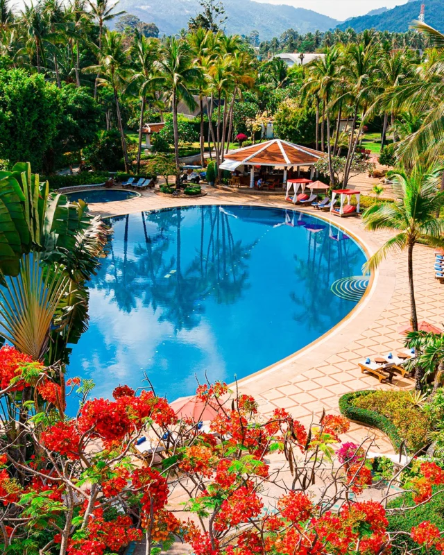 Find your corner by the pool and let Koh Samui set the mood. 🌿⁠
⁠
Surrounded by tropical gardens, swaying palms, and plenty of space to slow down, this is an easy place to spend the afternoon doing very little.⁠
⁠
#SantiburiKohSamui #สันติบุรีเกาะสมุย #SAiiDISCOVERY ⁠